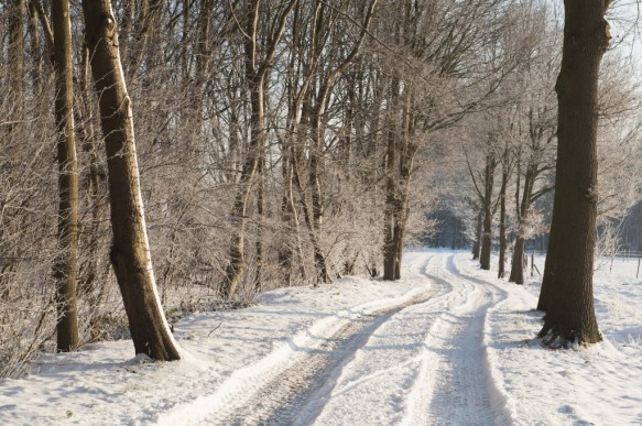 Maldegemveld in de winter.