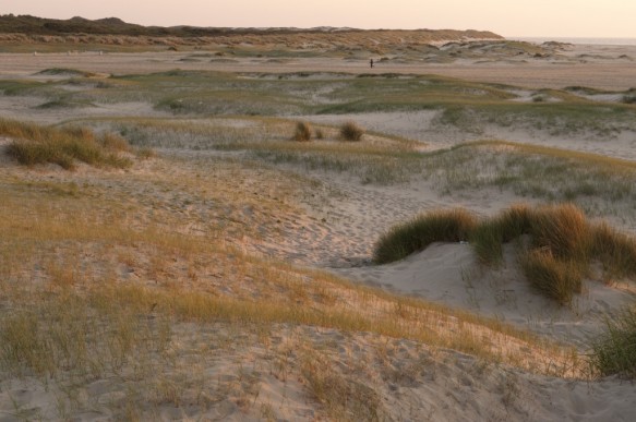 Verklikkerduinen