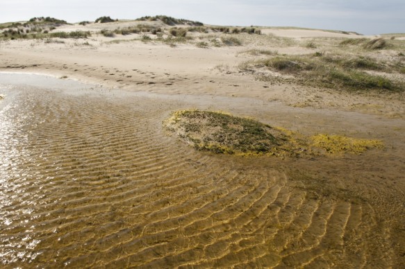 Verklikkerduinen.