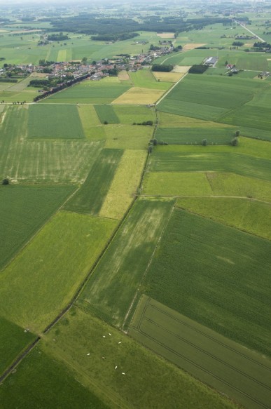 Agrarisch landschap