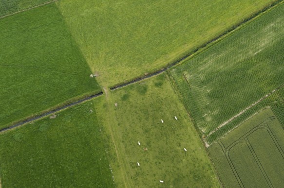 Agrarisch landschap