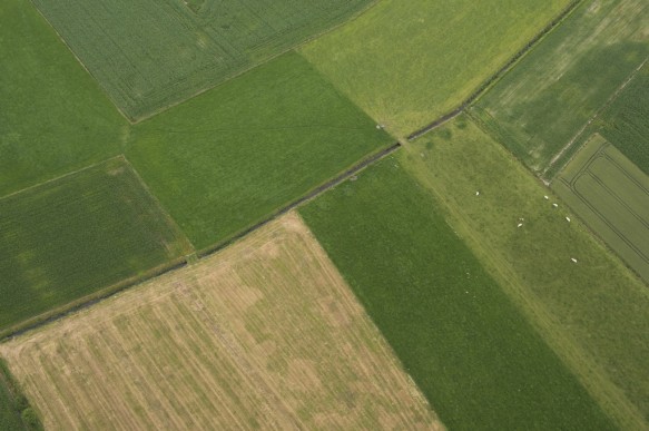 Agrarisch landschap