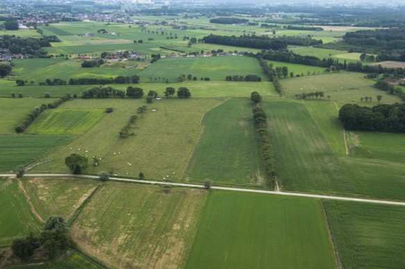 Agrarisch landschap te Maldegem.
