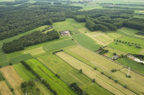 Agrarisch kleinschalig landschap.