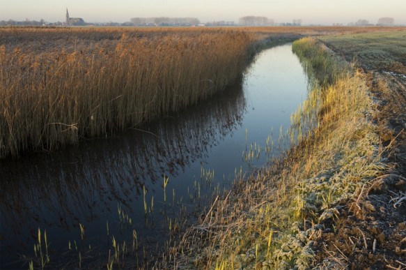 Molenkreek