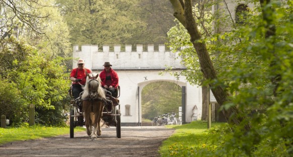 Paardenkoets in het Drongengoed.