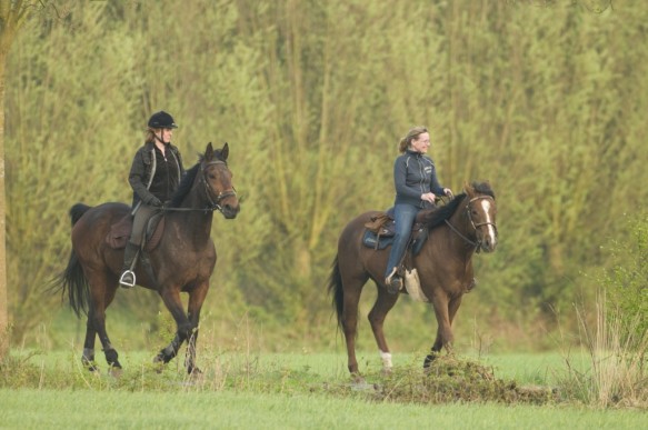 Paardrijden