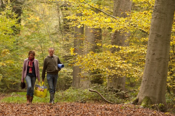 Wandelen in het bos.