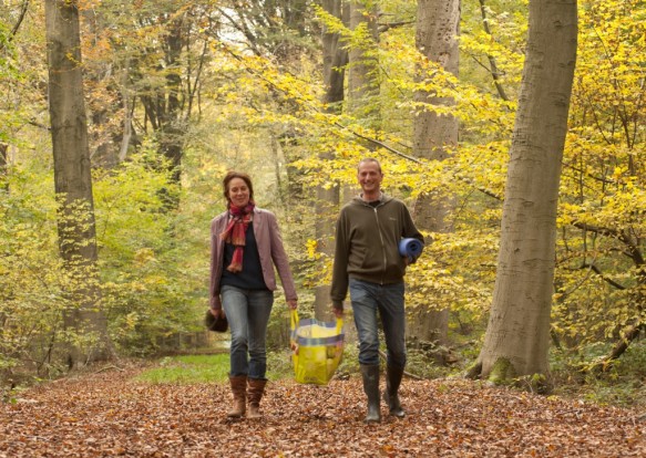 Wandelen in het bos.