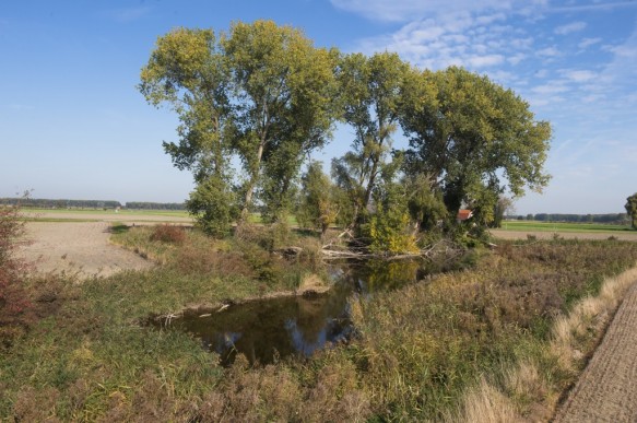 Locatie van voormalige vissershaven te Boekhoute.