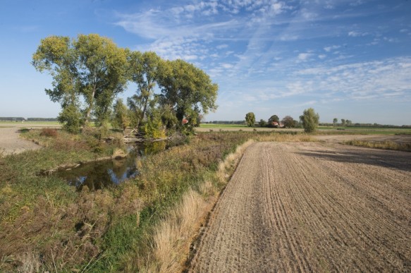 Voormalige vissershaven te Boekhoute.