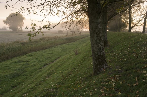 Oude Zeedijk te Boekhoute