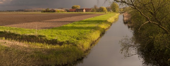 De Vliet