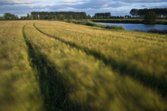 Agrarisch landschap aan de Boerekreek.