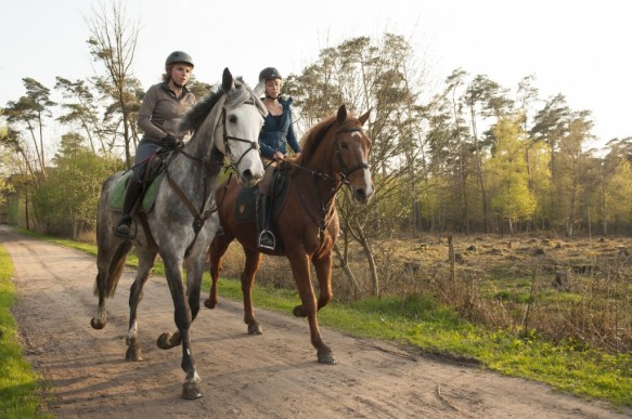 Te paard