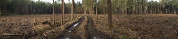 Maldegemveld
