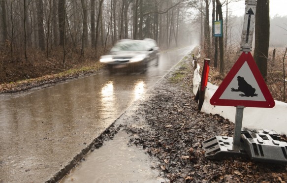Drongengoedweg