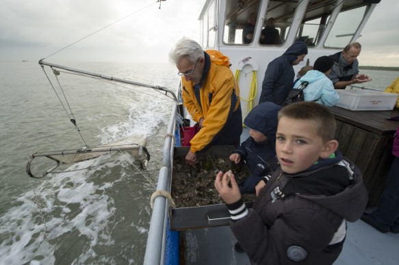 Westerschelde