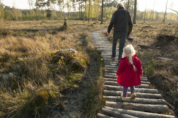 Wandelen in het Maldegemveld.