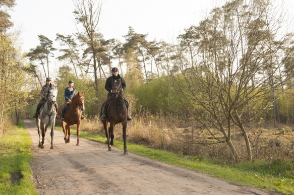 Te paard