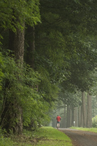 joggen in de natuur..