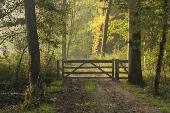 Heideveld-Bornebeek