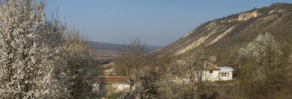 Vakantiehuis Probuda