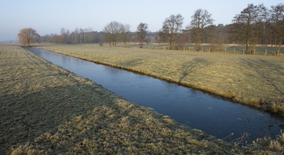 Moerenlandschap