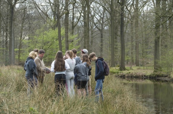 Leerlingen op stap met gids in het bos.