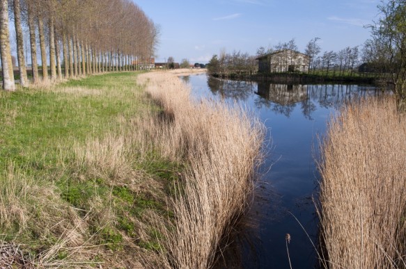 Molenkreek