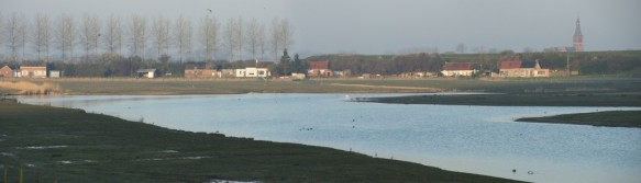Natuurgebied langs de Schelde.