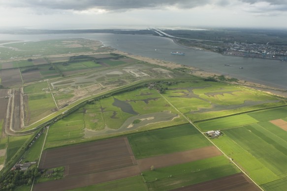 Schelde met Prosperpolder en Doelpolder.