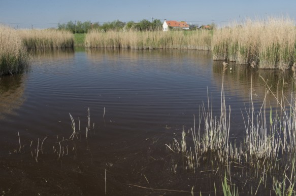 Molenkreek