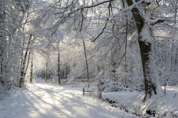 Het Leen in de sneeuw.