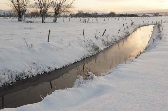 Poldersloot in de winter te Sint-Margriete.