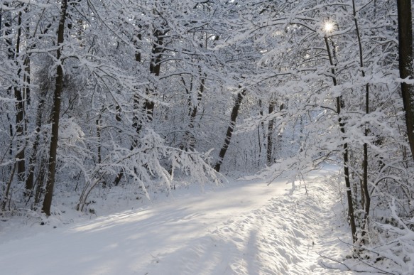 Het Leen in de sneeuw.