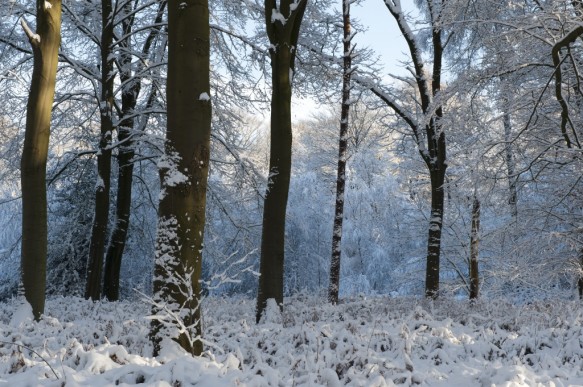 Het Leen in de sneeuw.