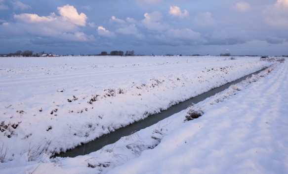 Polder te Sint-Margriete in de winter.