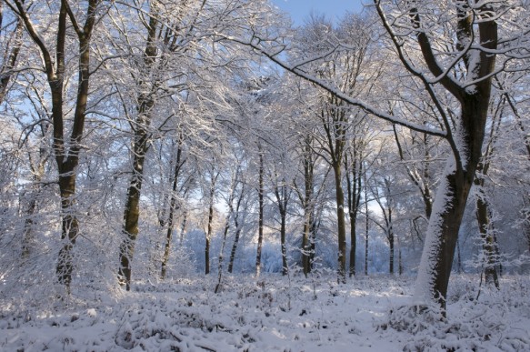 Het Leen in de sneeuw.