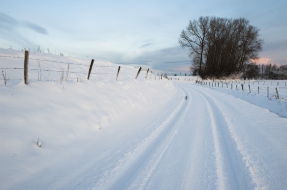 Dijk in de sneeuw te Sint-Margriete.