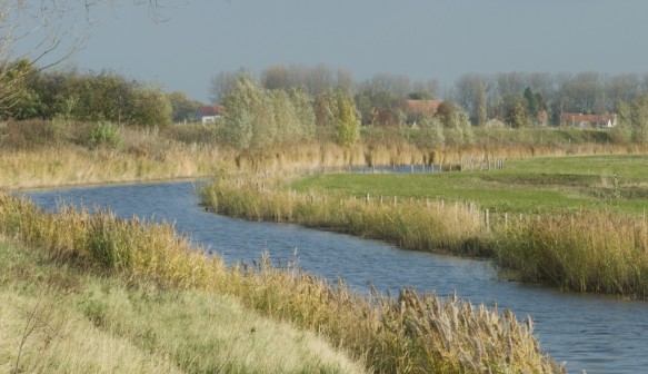 Passageule