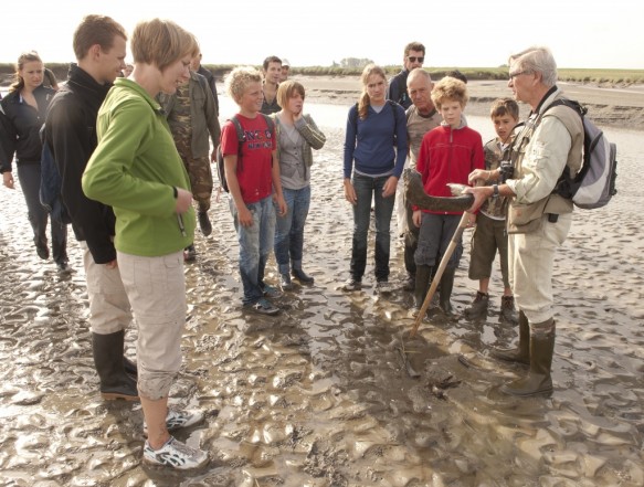 Verdronken Land van Saeftinghe