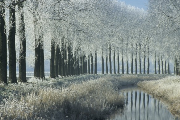 Leopoldkanaal