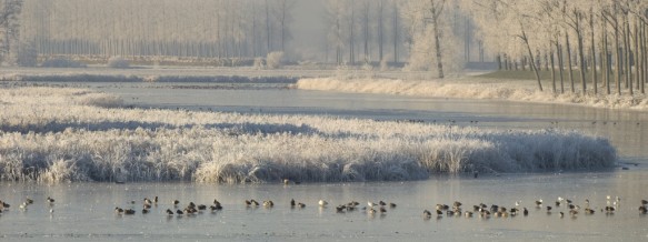 Kreek in de winter.