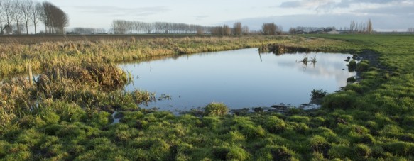 Papenkreek