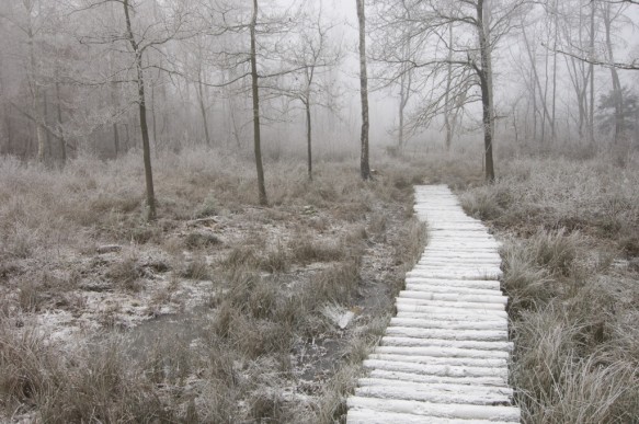 Maldegemveld