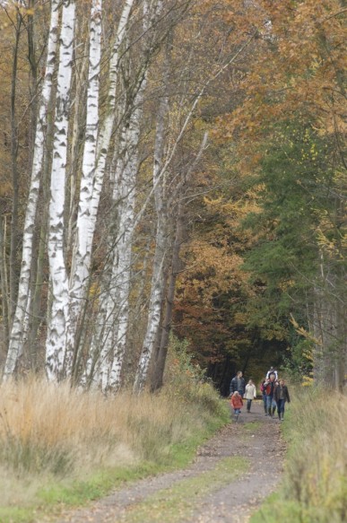 Wandelaars in de natuur.