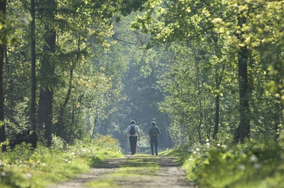 Wandelaars in de natuur.