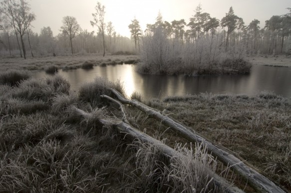 Maldegemveld