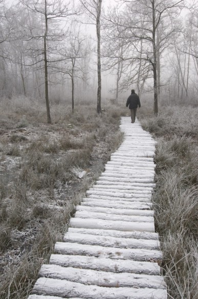 Wandelaar in de natuur.
